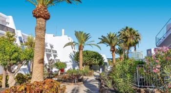 Hotel Sol Fuerteventura Jandia - All Suites 3