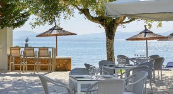 Hotel Delfinia Hotels Corfu 3