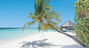 Hotel Vilamendhoo Island Resort 3