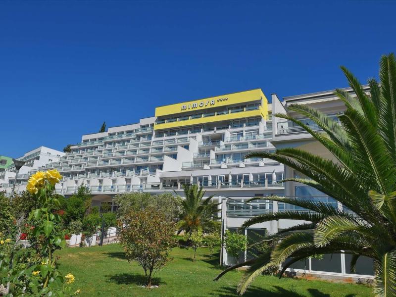 Hotel Mimosa Lido Palace 1